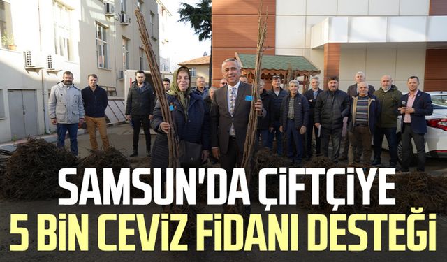 Samsun'da çiftçiye 5 bin ceviz fidanı desteği