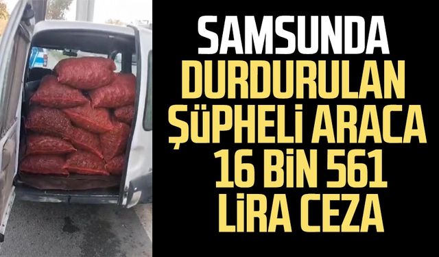 Samsun'da durdurulan şüpheli araca 16 bin 561 lira ceza