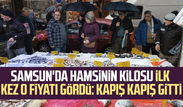 Samsun'da hamsinin kilosu ilk kez o fiyatı gördü: Kapış kapış gitti