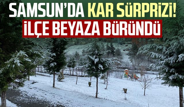 Samsun'da kar sürprizi: Samsun'un o ilçesi beyaza büründü