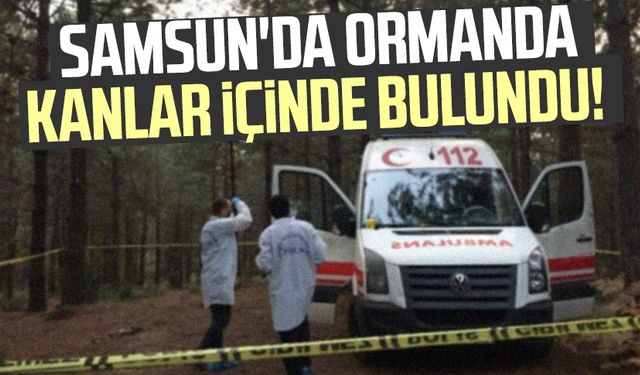 Samsun'da ormanda kanlar içinde bulundu!