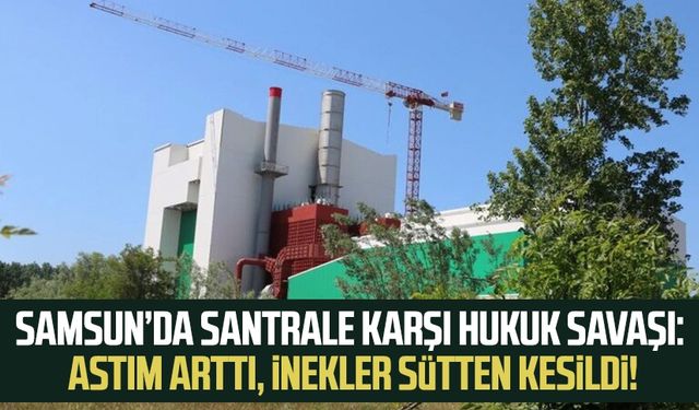 Samsun’da santrale karşı hukuk savaşı: Astım arttı, inekler sütten kesildi!