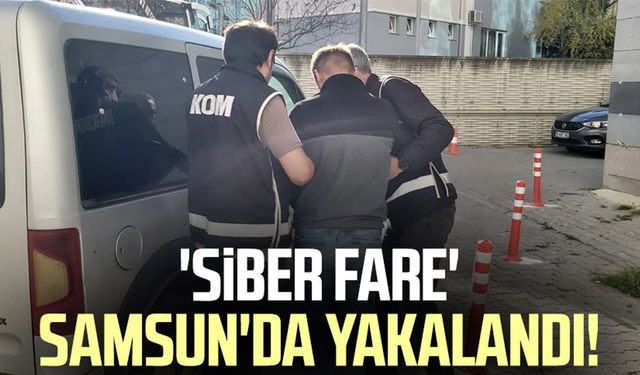 'Siber fare' Samsun'da yakalandı!