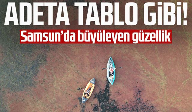 Kızıla bürünen Samsun'daki Kızılırmak Deltası tablo gibi