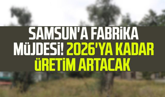 Samsun'a fabrika müjdesi! 2026'ya kadar üretim artacak