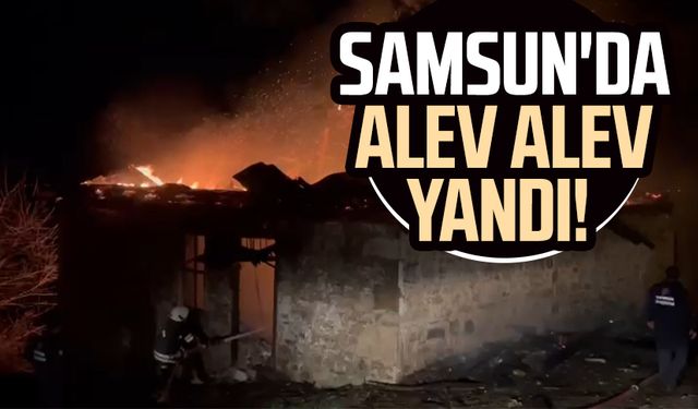 Samsun'da alev alev yandı!