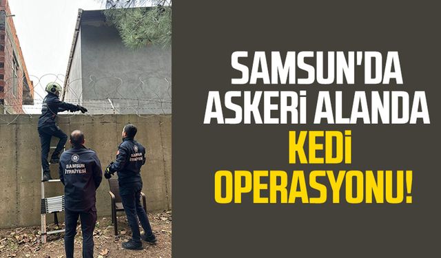 Samsun'da askeri alanda kedi operasyonu!