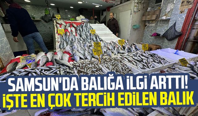 Samsun'da balığa ilgi arttı! İşte en çok tercih edilen balık