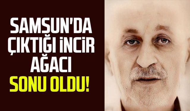 Samsun İlkadım'da çıktığı incir ağacı sonu oldu!