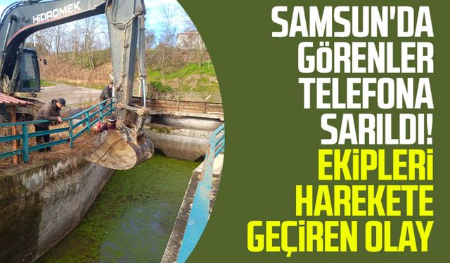 Samsun'da görenler telefona sarıldı! Ekipleri harekete geçiren olay