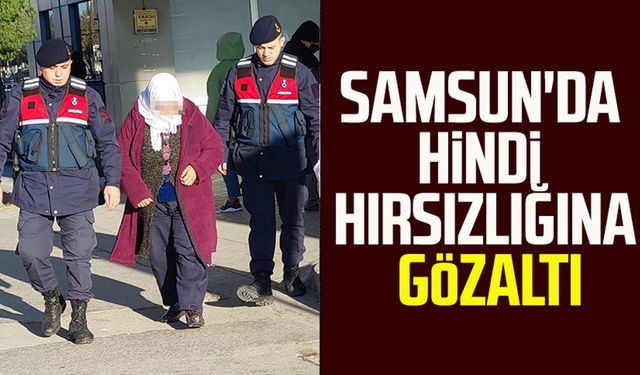 Samsun'da hindi hırsızlığına gözaltı