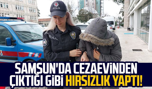 Samsun'da cezaevinden çıktığı gibi hırsızlık yaptı!