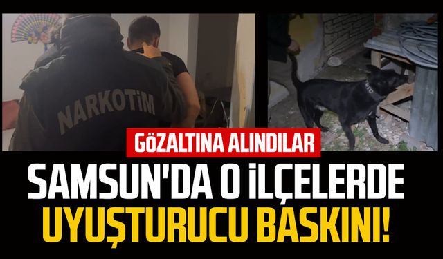 Samsun'da o ilçelerde uyuşturucu baskını! Gözaltına alındılar