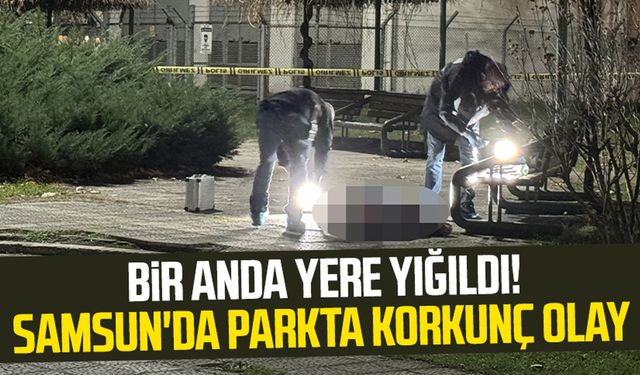 Bir anda yere yığıldı! Samsun'da parkta korkunç olay