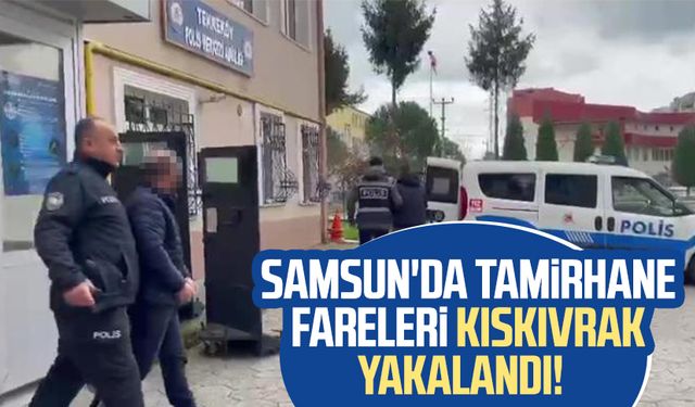 Samsun'da tamirhane fareleri kıskıvrak yakalandı!