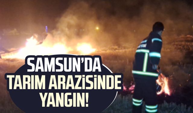 Samsun Bafra'da yangın! Tarım arazisi zarar gördü