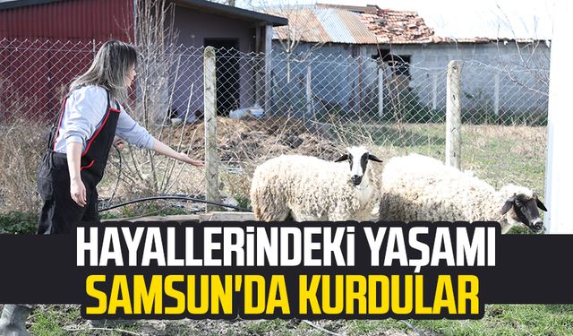 Şehir hayatından sıkıldılar, hayallerindeki yaşamı Samsun'da köyde kurdular