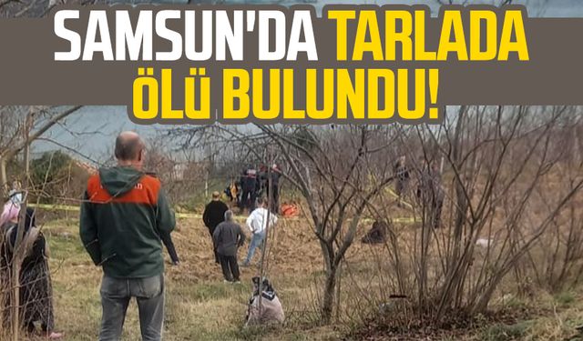 Samsun Bafra'da tarlada ölü bulundu!