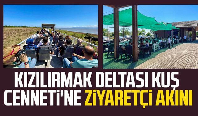 Kızılırmak Deltası Kuş Cenneti'ne ziyaretçi akını