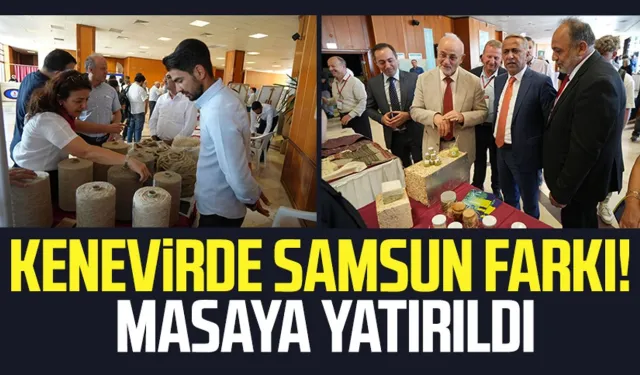 Kenevirde Samsun farkı! Masaya yatırıldı