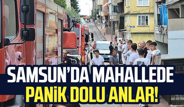 Samsun Reşadiye Mahallesi'nde apartman dairesinde yangın!