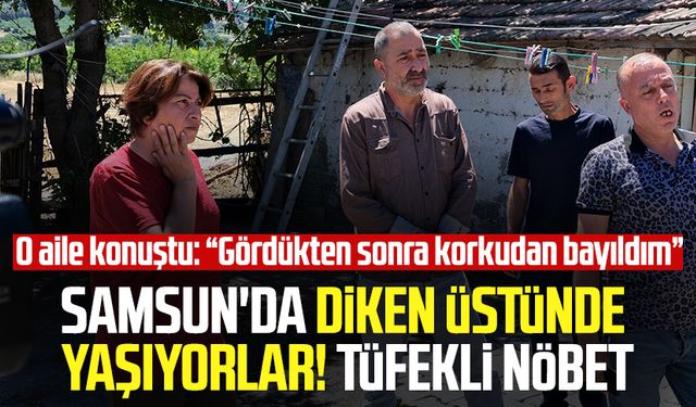 Samsun'da Şeyhulaş Mahallesi'nde 'yeraltı canavarı' alarmı! Tirkayi ailesi tüfekle nöbet tutuyor