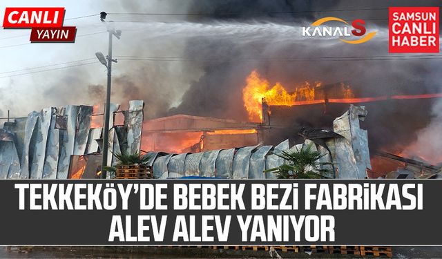 Samsun Tekkeköy'de fabrika yangını! PEDO yanıyor