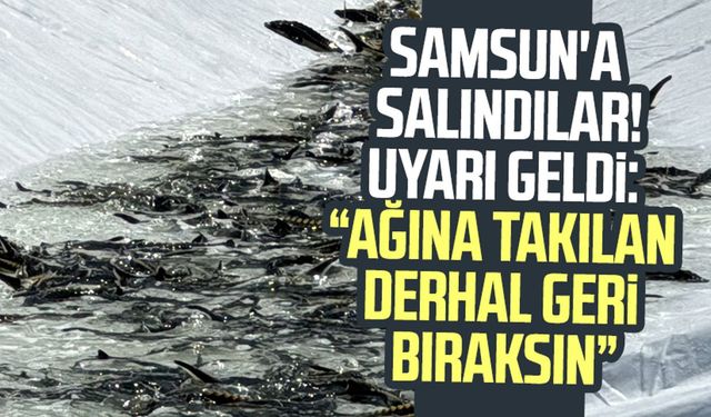 Samsun'a salındılar! Uyarı geldi: "Ağına takılan derhal geri bıraksın"