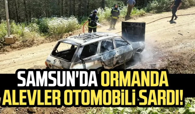 Samsun'da Kunduz Ormanı'nda alevler otomobili sardı!