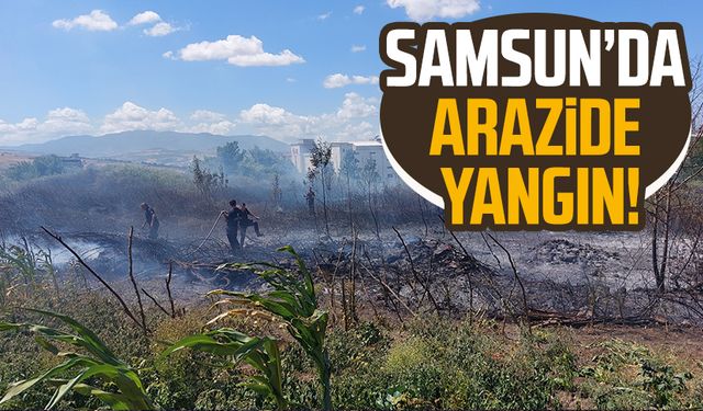 Samsun Kıran Mahallesi'nde arazide yangın!