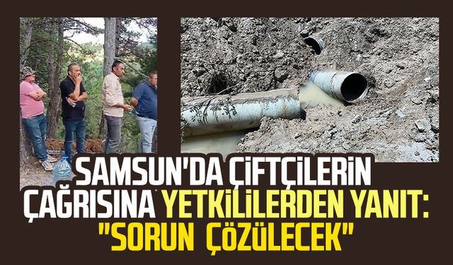 Samsun'da çiftçilerin çağrısına yetkililerden yanıt: "Sorun çözülecek"