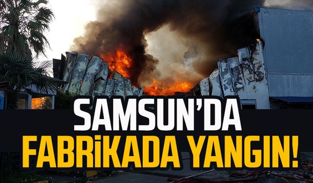 Samsun Tekkeköy fabrikada yangın!