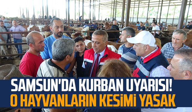 Samsun'da kurban uyarısı! O hayvanların kesimi yasak