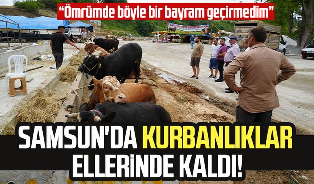 Samsun'da kurbanlıklar besicilerin elinde kaldı! Kara kara düşünüyorlar