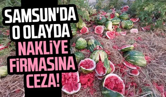 Karpuzlar etrafa saçılmıştı: Samsun'da o olayda nakliye firmasına ceza!