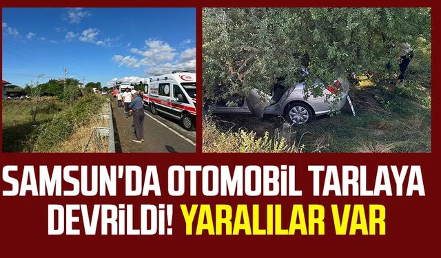 Samsun'da otomobil tarlaya devrildi! Yaralılar var