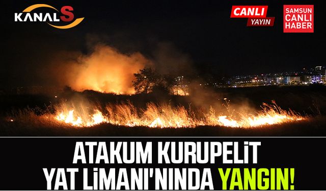 Atakum Kurupelit Yat Limanı'nında yangın!