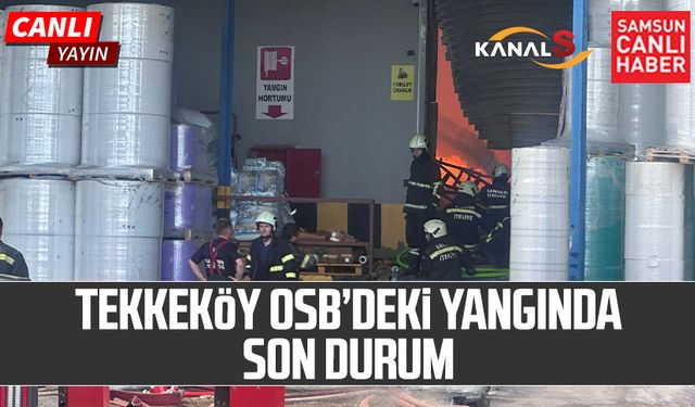 Samsun Tekkeköy OSB'deki fabrika yangınında son durum!