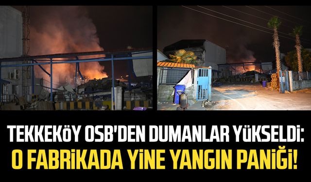 Samsun Tekkeköy OSB'de 2 gün önce yanan PEDO fabrikasında yine yangın paniği!