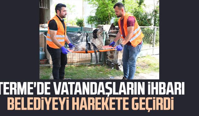 Terme'de vatandaşların ihbarı belediyeyi harekete geçirdi