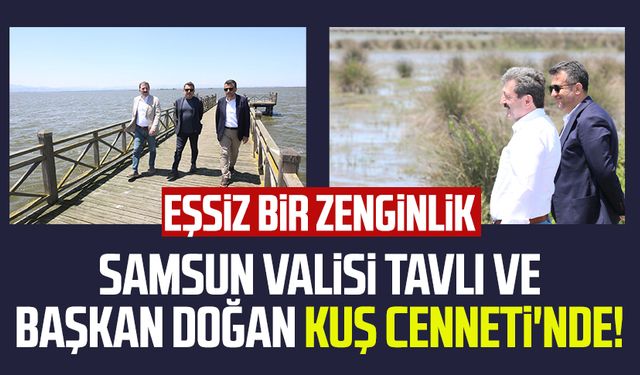 Samsun Valisi Orhan Tavlı ve Başkan Halit Doğan Kuş Cenneti'nde: "Eşsiz bir zenginlik"