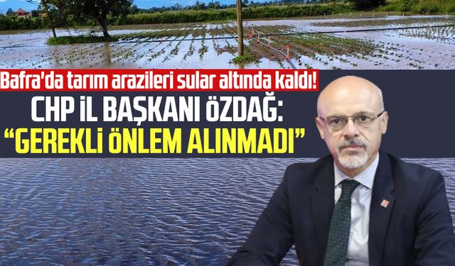 Samsun Bafra'da tarım arazileri sular altında kaldı! Mehmet Özdağ'dan önlem tepkisi