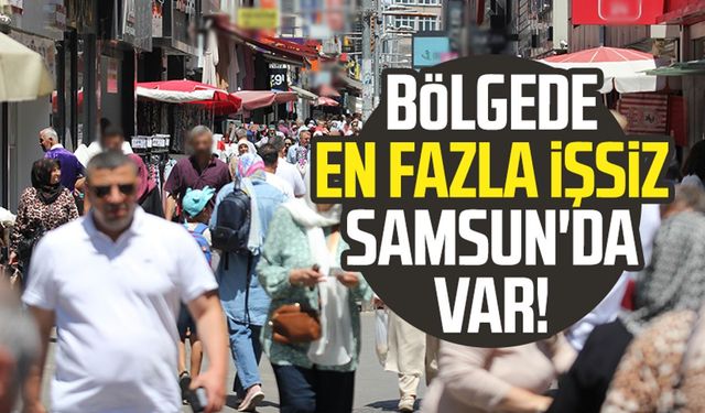 Orta Karadeniz'de en fazla işsiz Samsun'da var!