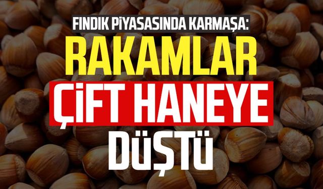 Fındık piyasasında karmaşa: Rakamlar çift haneye düştü