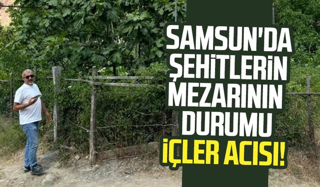 Samsun Bafra'da 1. Dünya Savaşı şehitlerinin mezarının durumu içler acısı!