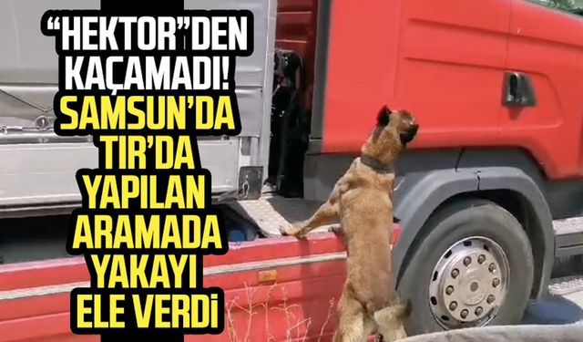 Samsun Derecik Mahallesi'nde TIR'da uyuşturucu ele geçirildi!