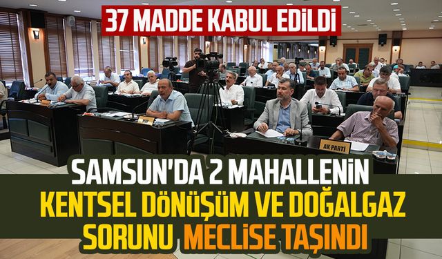 Samsun'da Hastane ve Kökçüoğlu mahallelerinin kentsel dönüşüm ve doğalgaz sorunu meclise taşındı