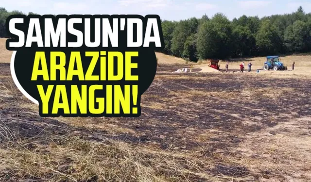 Samsun'da arazide yangın! 200 dekarlık alan küle döndü