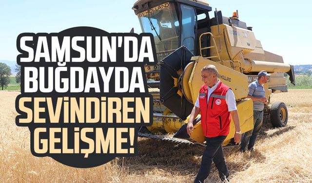 Samsun'da buğdayda sevindiren gelişme!