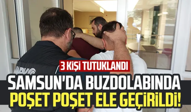 Samsun'da buzdolabında poşet poşet ele geçirildi: 3 kişi tutuklandı